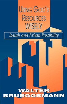 Cover of Using God's Resources Wisely: Isaiah & Urban Possibility