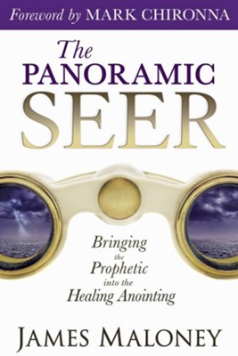 Cover of The Panoramic Seer: Bringing the Prophetic into the Healing Anointing - eBook