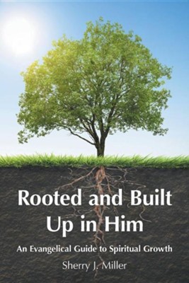 Cover of Rooted and Built Up in Him