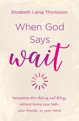 Cover of When God Says Wait: navigating life's detours and delays without losing your faith, your friends, or your mind - eBook
