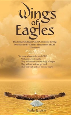 Cover of Wings of Eagles: Practicing Abiding in God's Consistent Loving Presence in the Chaotic Floodwaters of Life (Devotional)