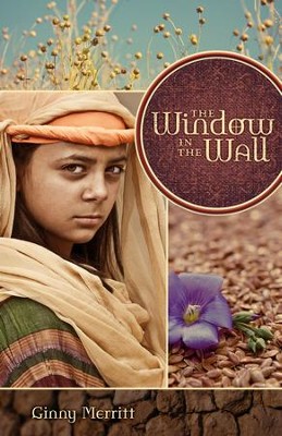 Cover of The Window in the Wall - eBook