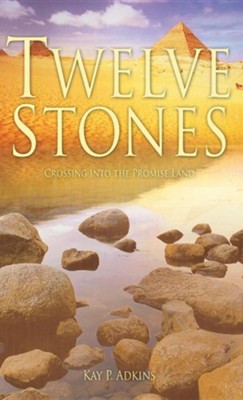 Cover of Twelve Stones