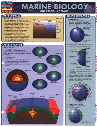 Cover of Marine Biology Quick Study Chart