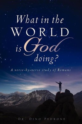 Cover of What in the World Is God Doing?