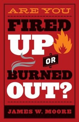 Cover of Are You Fired Up or Burned Out? - eBook