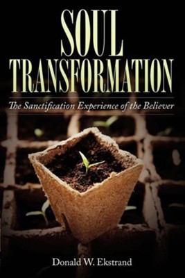 Cover of Soul Transformation