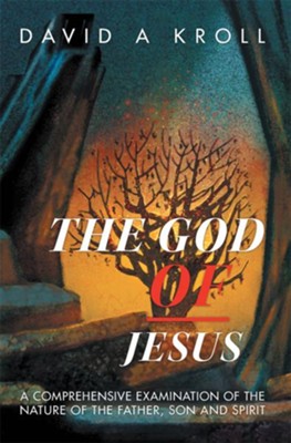 Cover of The God of Jesus: A Comprehensive Examination of the Nature of the Father, Son and Spirit - eBook
