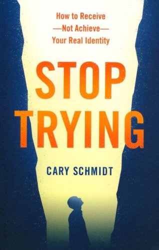 Cover of Stop Trying: How to Receive-Not Achieve-Your Real Identity