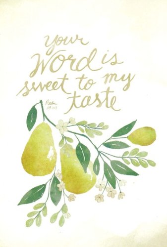 Cover of Your Word Cards, Box of 15