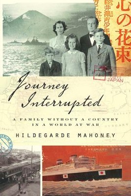 Cover of Journey Interrupted - eBook