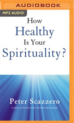 Cover of How Healthy is Your Spirituality?: Why Some Christians Make Louse Human Beings unabridged audiobook on MP3-CD