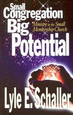 Cover of Small Congregation, Big Potential - eBook