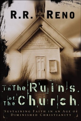 Cover of In the Ruins of the Church: Sustaining Faith in an Age of Diminished Christianity - eBook
