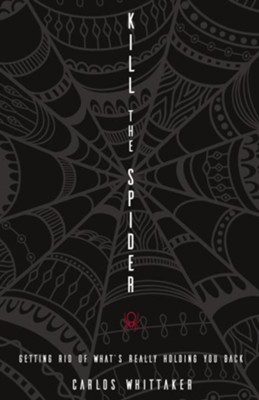 Cover of Kill the Spider - eBook