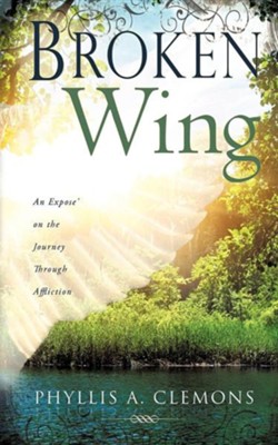 Cover of Broken-Wing: An Expose' on the Journey Through Affliction