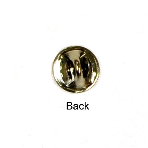 Cover of Forgiven, Lapel Pin