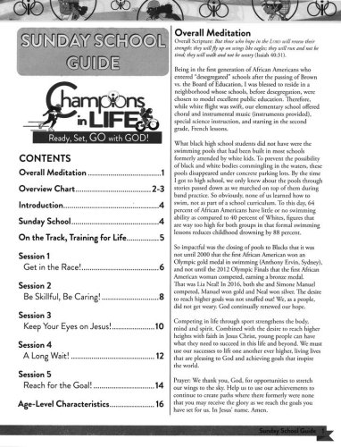 Cover of Champions in Life: Sunday School Guide