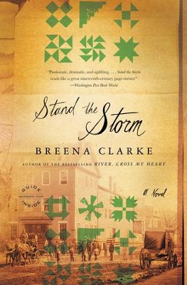 Cover of Stand the Storm: A Novel - eBook