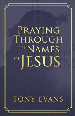 Cover of Praying Through the Names of Jesus