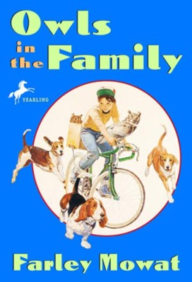 Cover of Owls in the Family
