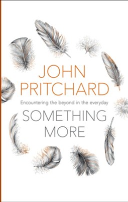 Cover of Something More: Encountering The Beyond In The Everyday