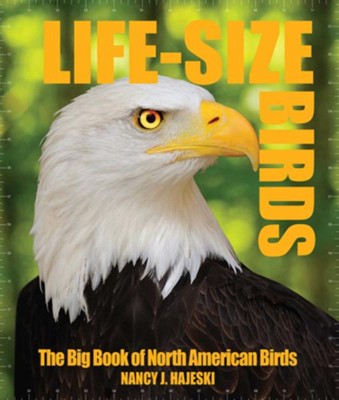 Cover of Life-Size Birds: The Big Book of North American Birds - eBook