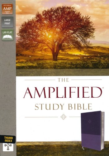 Cover of Amplified Study Bible--soft leather-look, purple (indexed)