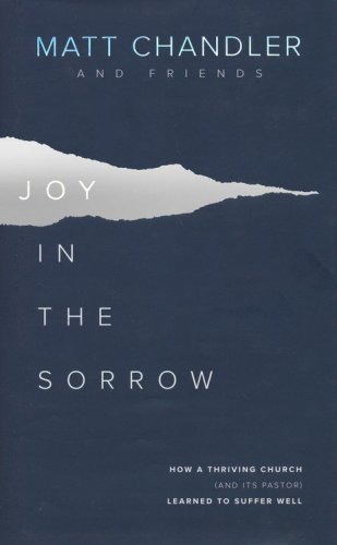 Cover of Joy in the Sorrow