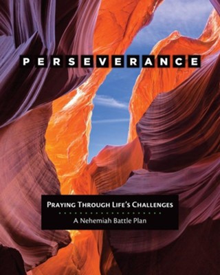 Cover of Perseverance: Praying Through Life's Challenges