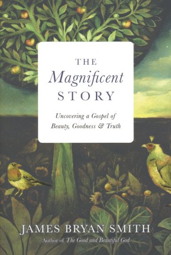 Cover of The Magnificent Story: Uncovering a Gospel of Beauty, Goodness & Truth