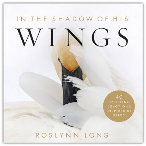 Cover of In the Shadow of His Wings: 40 Uplifting Devotions Inspired by Birds