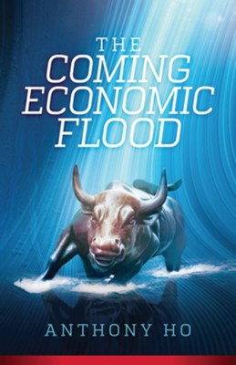 Cover of The Coming Economic Flood - eBook