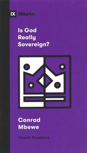 Cover of Is God Really Sovereign?