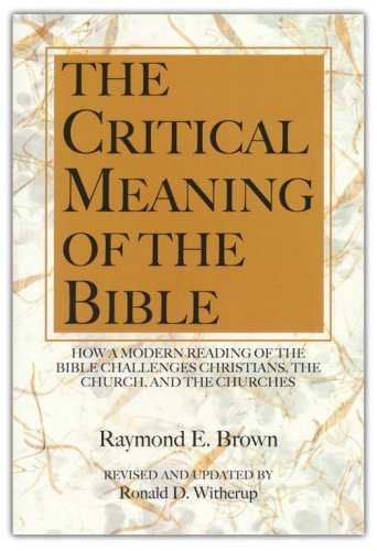 Cover of The Critical Meaning of the Bible: How a Modern Reading of the Bible Challenges Christians the Church