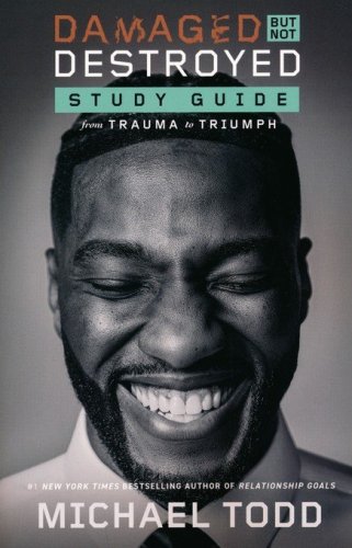 Cover of Damaged But Not Destroyed Study Guide