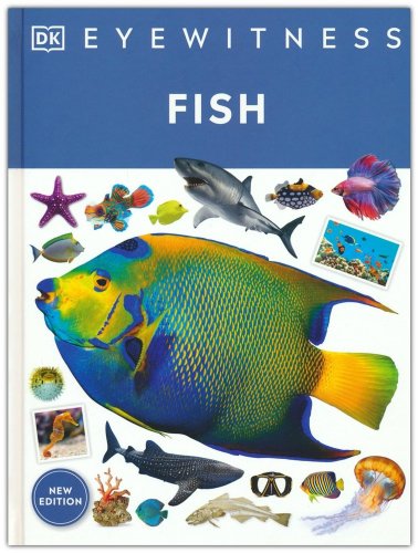 Cover of DK Eyewitness: Fish